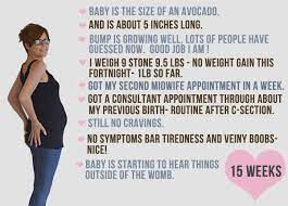 15 Weeks Pregnant Bump Diary Katie Ellison