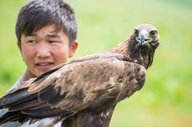 Kirgizistan Biskek Ten Fotograf Ahmet Dogan Central Asia Animals Asia