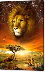 Renee Feaster (reneefeaster3)