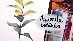 Desenha E Fala 24 Aquarela Botanica Youtube Hoje vamos pintar uma composição de flores, seguindo na linha da aquarela botânica. desenha e fala 24 aquarela botanica