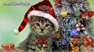 New users enjoy 60% off. Christmas Kitty Picmix