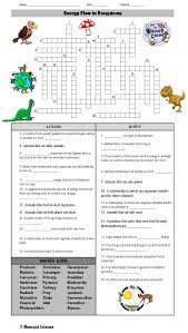 energy flow in ecosystems crossword puzzle energy pyramid