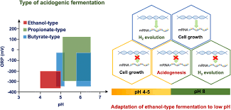 The term ph is a measure of the degree of the acidity or the alkalinity of a solution when it. Metabolic Regulation Of Ethanol Type Fermentation Of Anaerobic Acidogenesis At Different Ph Based On Transcriptome Analysis Of Ethanoligenens Harbinense Biotechnology For Biofuels Full Text