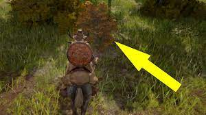 Invisible Man in the bush Elden Ring - YouTube