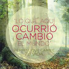 Se trata de un bosque enorme situado en lo profundo de la región de farone, muy cerca del templo del bosque. Un Lugar Venerado En La Historia De Nuestra Iglesia El Lugar Que Honramos Con El Nombre De La Arboleda Sagrada Lds Quotes Mormon Lds Church