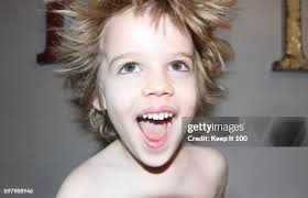 9,558 100 Free Photos Stock Photos, High-Res Pictures, and Images