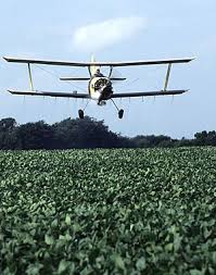 All of the viral insecticides used for control of forest pests are produced and. Pest Control Wikipedia