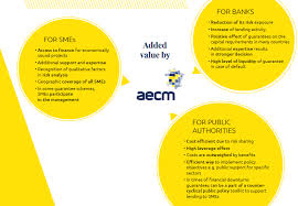 The term bank guarantee as the name suggests is the guarantee or assurance given by the financial institution to an external party that in case the borrower is not able to here we discuss types of bank guarantee, how does it work, examples, importance, and its differences with letter of credit. Guarantee Institutions Aecm