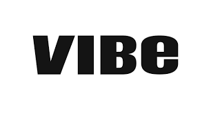 Image result for vibe logo