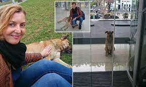 La conmovedora historia de una azafata alemana que adoptó un perro  argentino - LA GACETA Salta