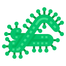 El laboratorio africano de virus, ya tiene una nueva vedette. Marburg Virus Structure Bacteria Science Free Icon Of Virus