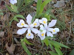 Maybe you would like to learn more about one of these? Walnut Creek