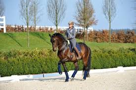 We did not find results for: Dorothee Schneider Alchetron The Free Social Encyclopedia