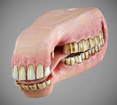 Horse Mouth 3d Model Horses Model 3d Model