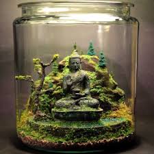 Ancient Buddha Zen Garden Terrarium Moss And By Megatone230 Garden Terrarium Terrarium Moss Terrarium