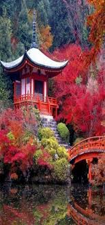 Straight From The Country Of Rising Sun Kyoto Japan Beautiful Places Japanese Garden Nature
