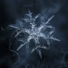 Amazing Close Up Photos Of Snowflakes Will Give You Goosebumps Schneeflocken Schneeflocke Fotografie Echte Schneeflocken