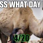 Guess What Day It Is Empire Wednesday Meme Generator Imgflip