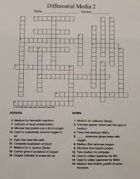 Maybe you would like to learn more about one of these? Differential Media 2 Section Name 10 13 15 16 17 C Chegg Com