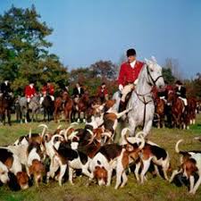Top 10 Hunting Dog Breeds Hunting Dogs Breeds Hunting Dogs Dog Breeds
