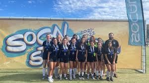 Image result for Emilia juncea