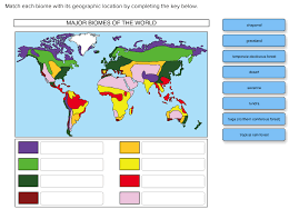 This is the currently selected item. Solved Match Each Biome With Its Geographic Location By C Chegg Com