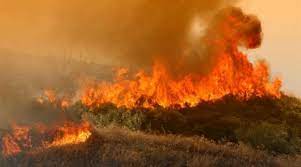 Μεγάλη φωτιά έχει ξεσπάσει στην περιοχή σταμάτα στην αττική, με τις φλόγες μάλιστα να απειλούν σπίτια. Megales Fwties Twra Se Attikh Kai B Eyboia Konta Se Oikismo H Pyrkagia Stis Ery8res Attikhs Ellada Thepressroom Gr