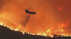 12News Anchor Troy Hayden shares what he saw during the devastating Los  Angeles wildfires