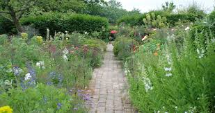 Pin On Tuin