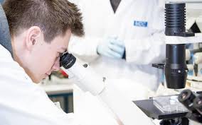 Ever heard of iPS? Students learn about stem cells