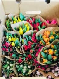 Maybe you would like to learn more about one of these? Local Florist Surprises Culpeper Residents With Tulip Bouquets Lifespire Of Virginia