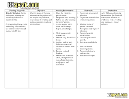 Hot water bottles, ice bags should be drained and dried they should be inflated with. Nursing Process Paper Example Foley Nursing Nursing Care Plan Pages