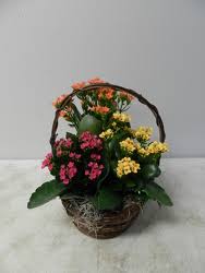 6429 lansing ave jackson mi 49201. Beck S Flower Shop Gardens Inc Your Jackson Florist Online Michigan Flower Shop