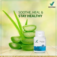 Aloe Vera Aloe Vera Aloe Vera Capsules How To Stay Healthy