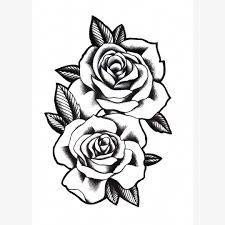 Huge collection of graphic resource for designer include: Realistic Stencil Rose Outline Novocom Top