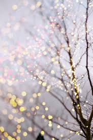Winter Photography Lavender Holiday Fairy Lights In Trees Etsy In 2020 Iphone Wallpaper Winter Wallpaper Iphone Christmas Fairy Lights In Trees