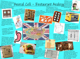 Pin By Payt On School Cell Analogy Plant And Animal Cells Cells Project