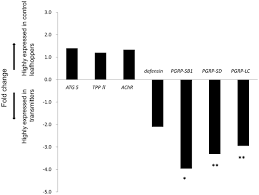 Transcriptome of the Plant Virus Vector Graminella nigrifrons, and the  Molecular Interactions of Maize fine streak rhabdovirus Transmission