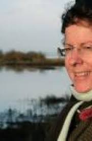 On the Form of the Video Essay — TriQuarterly