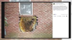 Check spelling or type a new query. Holy Honeycomb Beekeepers Remove Massive Honeycomb From Behind Brick On House Wtol Com