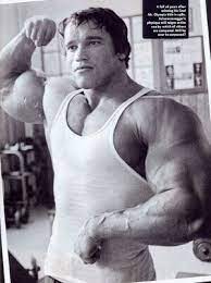 I told you i'd be back. Arnold Schwarzenegger American Supps