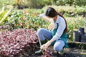 How Many Calories Can You Burn Doing Gardening Jobs The Argus