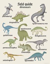 Dinosaur Field Guide Art Poster Series Set Of 3 Dinosaur