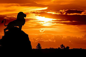 Feb 07, 2021 · opening to the lion king 1995 vhs.ia.mp4 download. Free Stock Photo Of Lion King Download Free Images And Free Illustrations