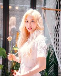 양팡, 부산 (busan, south korea). ì–'íŒ¡ ë‚˜ë¬´ìœ„í‚¤