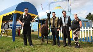 Usedom: Illegaler Zirkus sorgt für Streit und Küsten-News - Imagen principal del artículo