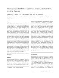 Image result for Cassipourea ndando