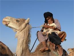 Please update (trackers info) before start freecourseweb com ] camel in action 2nd edition torrent downloading to see updated seeders and leechers for batter torrent download speed. The Material And Cultural Recovery Of Camels And Camel Husbandry Among Sahrawi Refugees Of Western Sahara Pastoralism Full Text