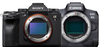 We have collected amazing photos from all over the world that showcase captures on sony cameras and lenses. Sony A1 Vs Canon Eos R5 Review About Portraits Sports And Wildlife Best Camera News