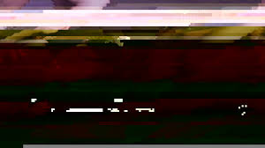 宋轶换脸，完整版看简介DeepFake Porn | deep.whitecatchel.ru